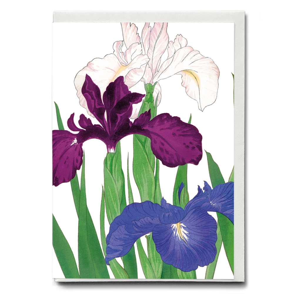 Japanese Flowers Greeting Cards