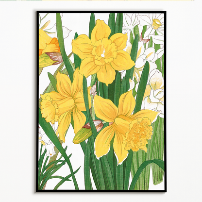 Daffodil By Tanigami Kônan Art-Print