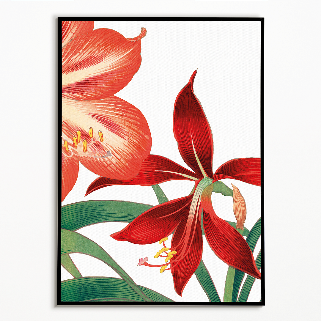 Amaryllis By Tanigami Kônan Art-Print