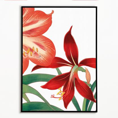 Amaryllis By Tanigami Kônan Art-Print