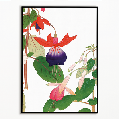 Fuchsia flower By Tanigami Kônan Art-Print