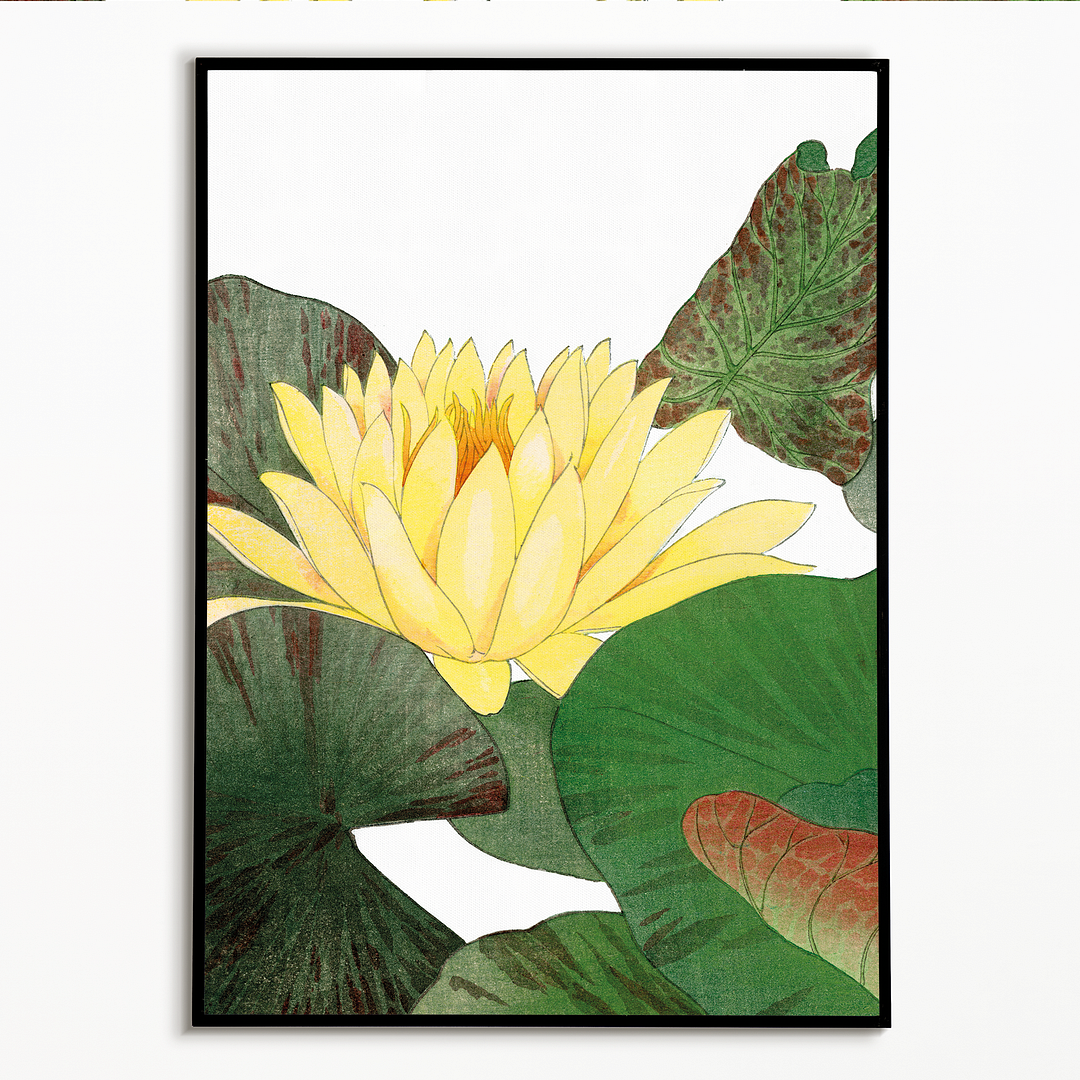 Nymphaea Lotus By Tanigami Kônan Art-Print