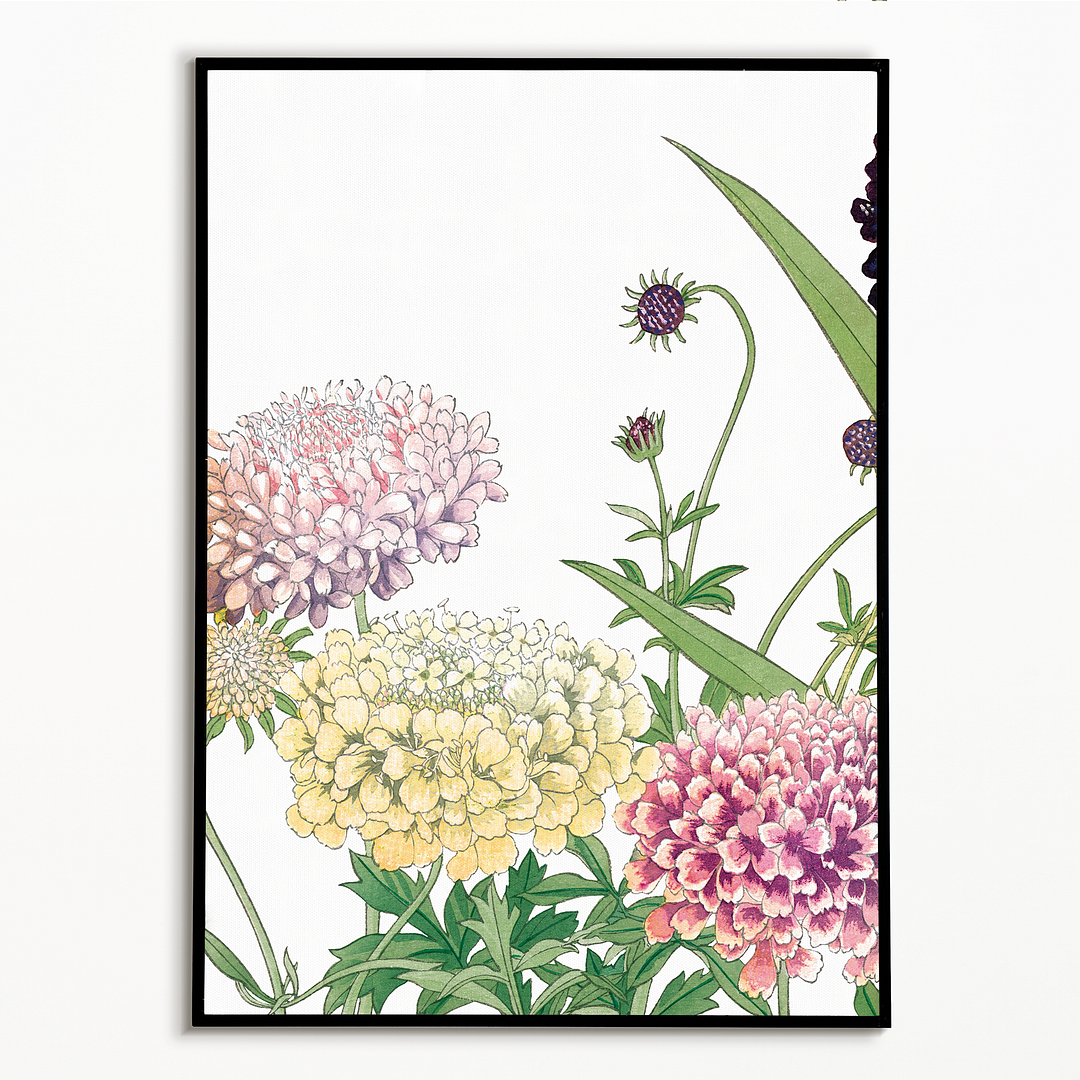 Scabiosa By Tanigami Kônan Art-Print