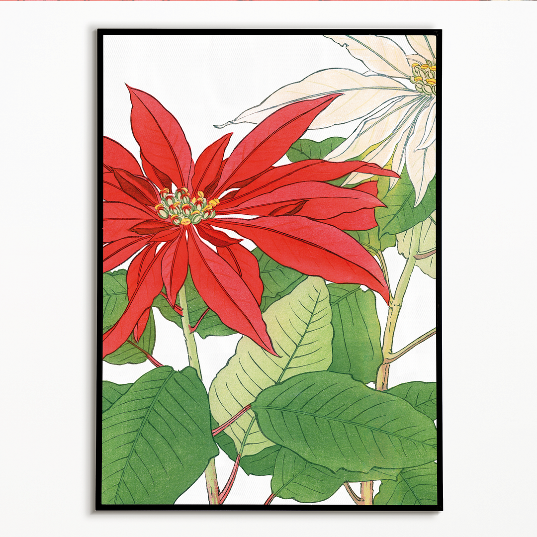 Poinsettia By Tanigami Kônan Art-Print