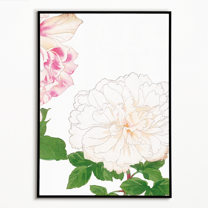 White Rose By Tanigami Kônan Art-Print