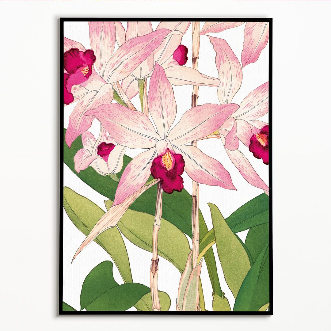 Orchid By Tanigami Kônan Art-Print