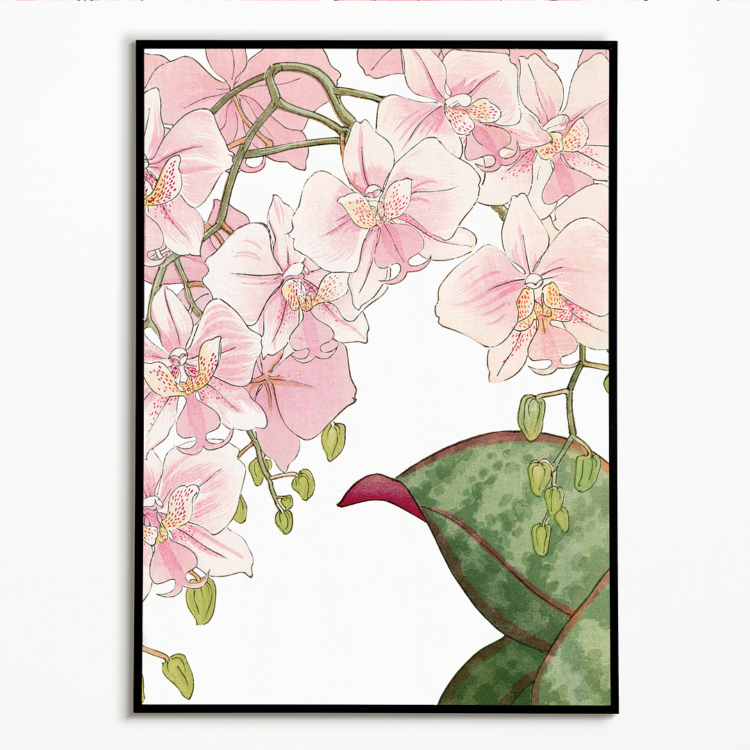 Orchids By Tanigami Kônan Art-Print