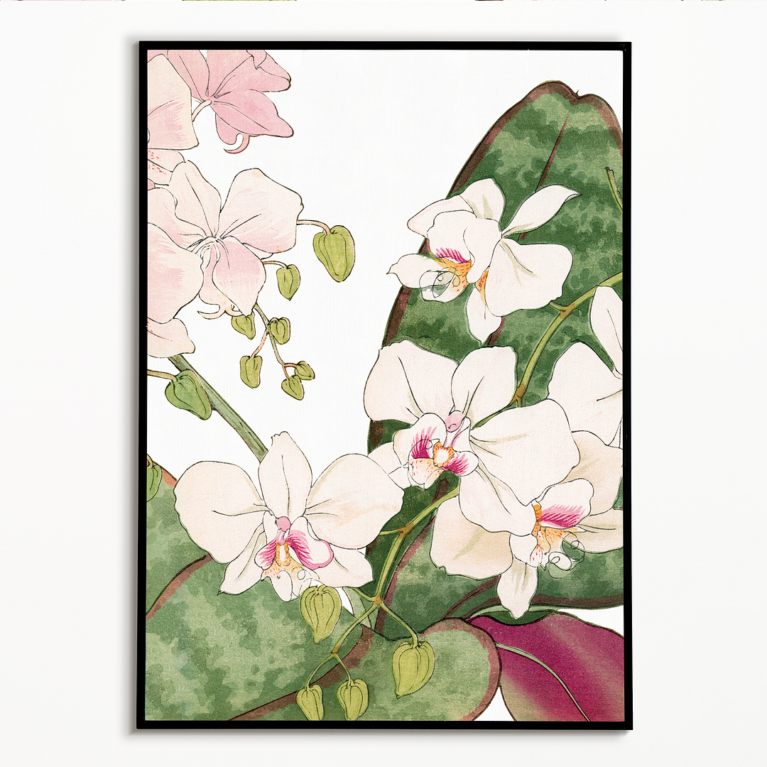 Orchids flower By Tanigami Kônan Art-Print