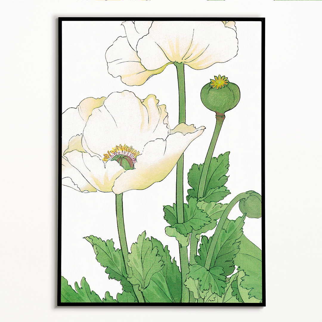 White Poppies By Tanigami Kônan Art-Print