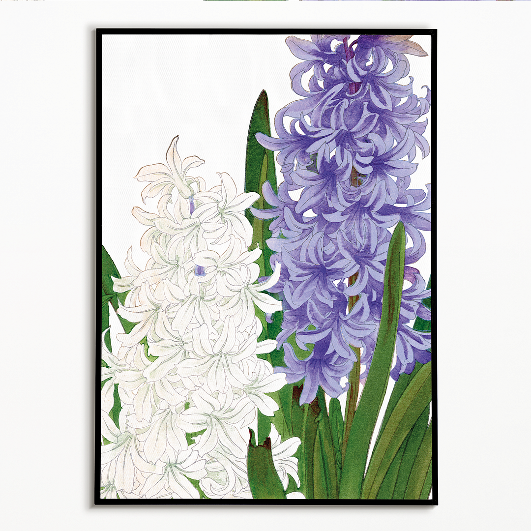 Hyacinthus By Tanigami Kônan Art-Print