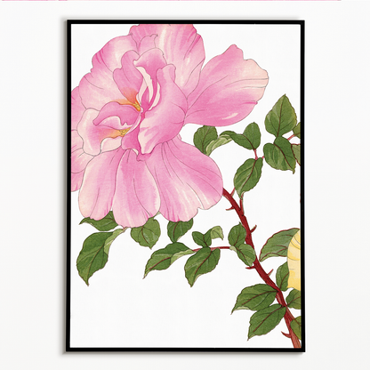 Pink Rose By Tanigami Kônan Art-Print