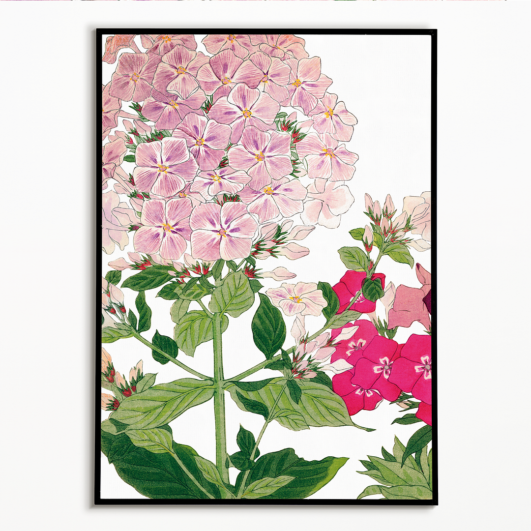 Phlox By Tanigami Kônan Art-Print