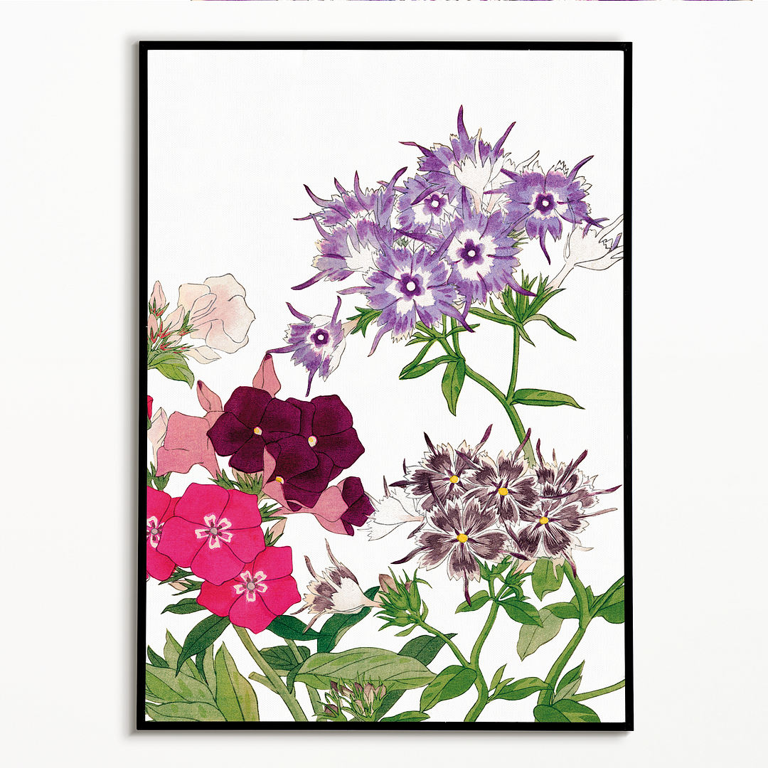 Phlox Flower By Tanigami Kônan Art-Print