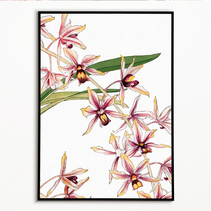 Cymbidium Orchid By Tanigami Kônan Art-Print