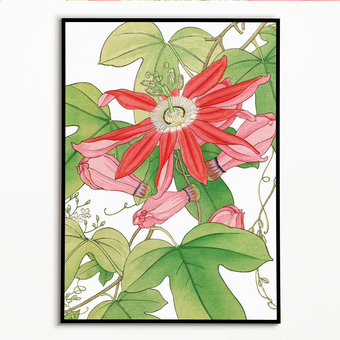 Passion flower By Tanigami Kônan Art-Print