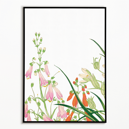 Ornithogalums By Tanigami Kônan Art-Print