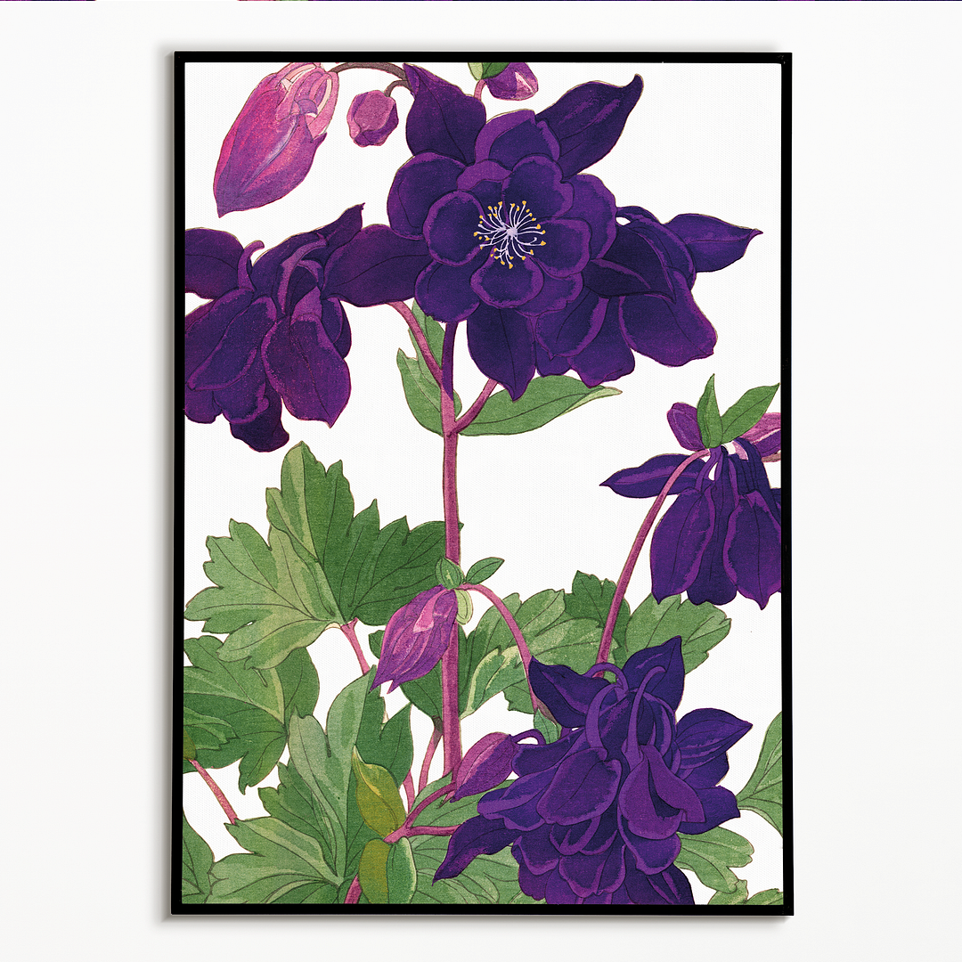 Aquilegia By Tanigami Kônan Art-Print