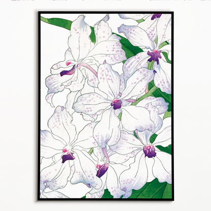 Orchid By Tanigami Kônan Art-Print