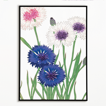 Cornflower By Tanigami Kônan Art-Print