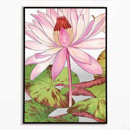 Nymphaea Lotus By Tanigami Kônan Art-Print