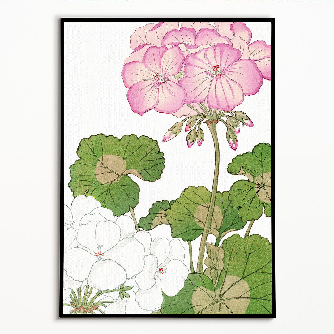 White & Pink Geranium By Tanigami Kônan Art-Print