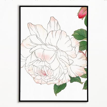 White Rose By Tanigami Kônan Art-Print