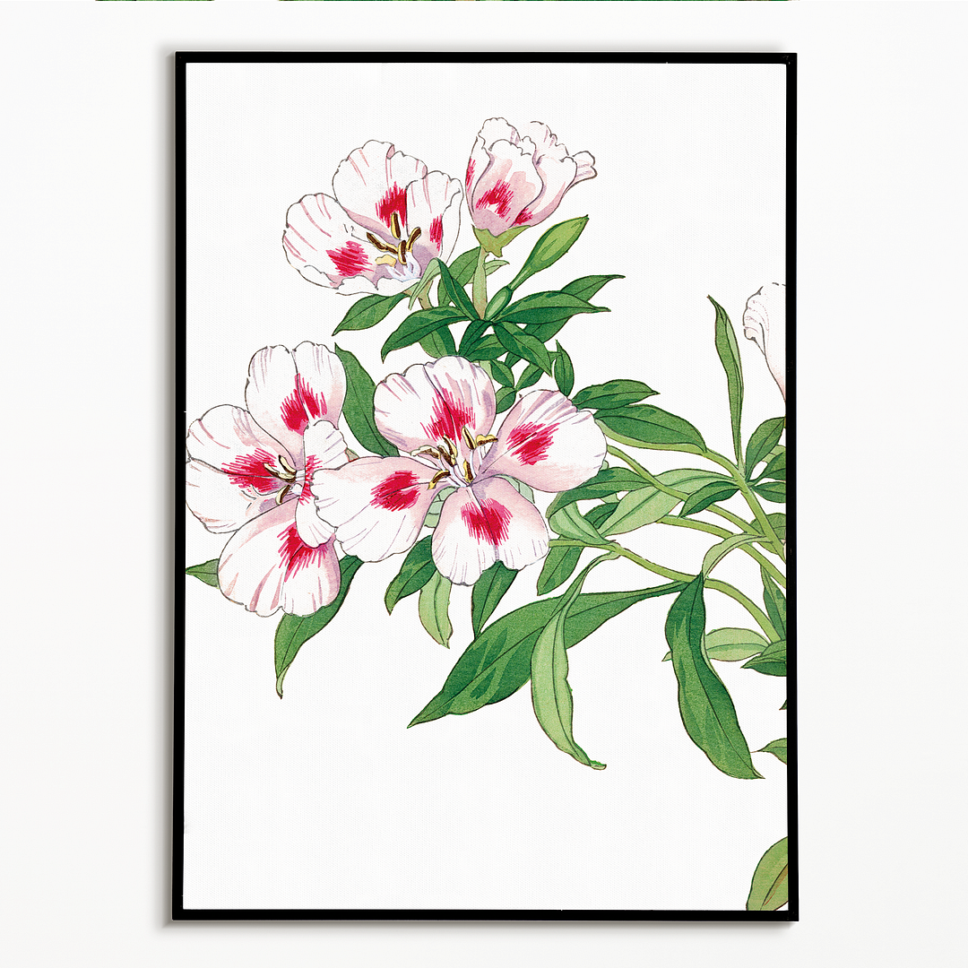 Godetia Flower By Tanigami Kônan Art-Print