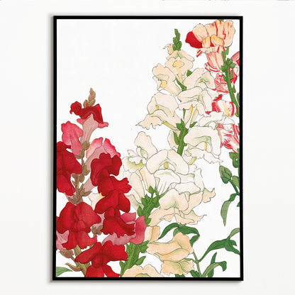 Antirrhinum By Tanigami Kônan Art-Print