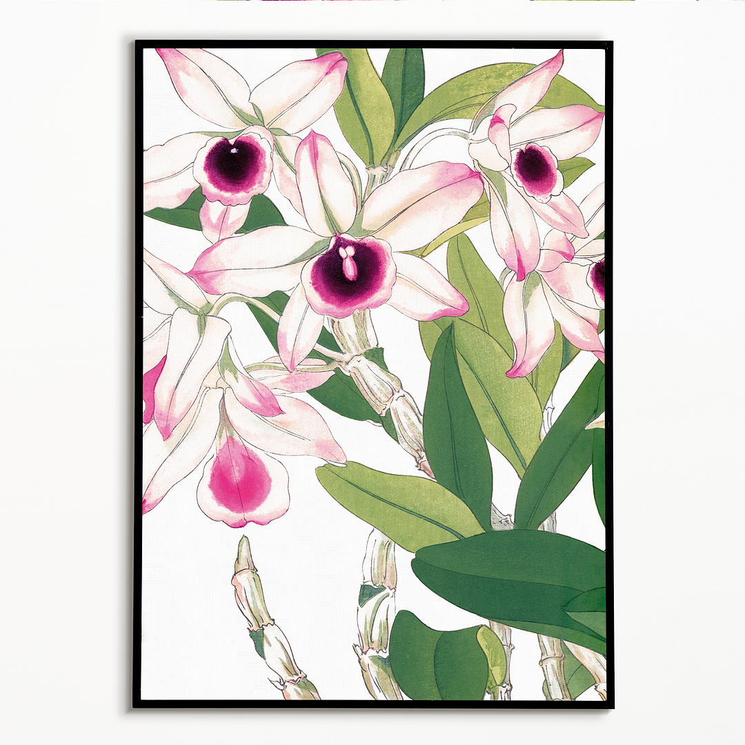 Dendobium By Tanigami Kônan Art-Print