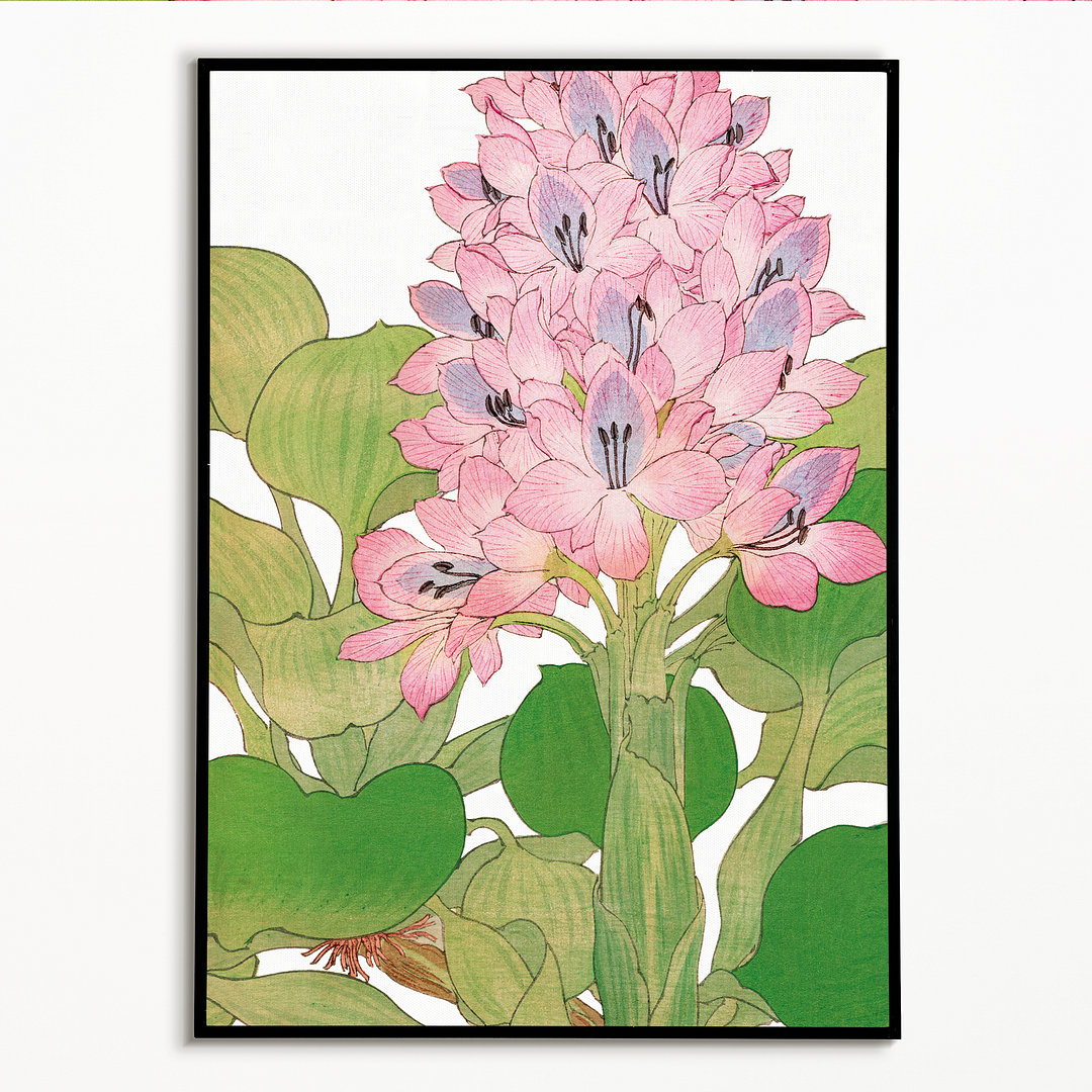 Water Hyacinth By Tanigami Kônan Art-Print