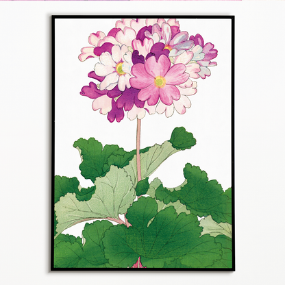 Primrose Flower By Tanigami Kônan Art-Print