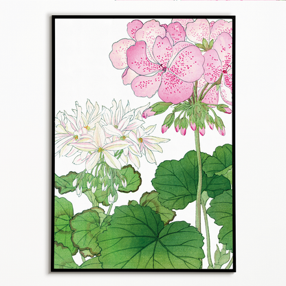 Geranium By Tanigami Kônan Art-Print