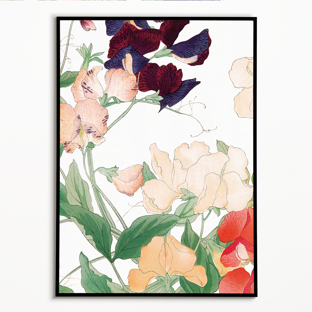 Sweetpea By Tanigami Kônan Art-Print