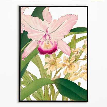 Oncidium By Tanigami Kônan Art-Print