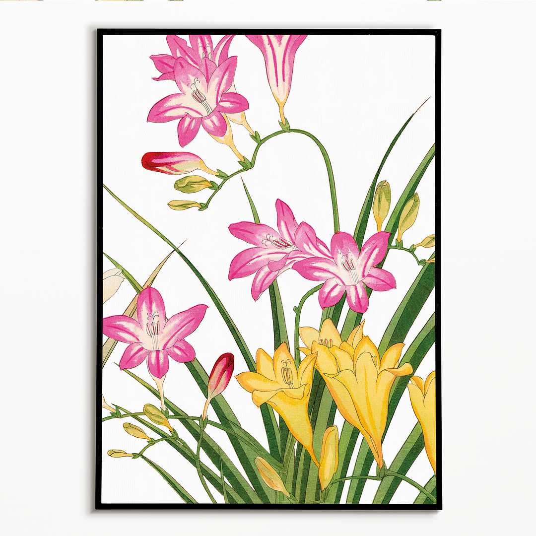 Freesia Flower By Tanigami Kônan Art-Print