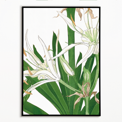 Cambpetum Ghandiflorum By Tanigami Kônan Art-Print