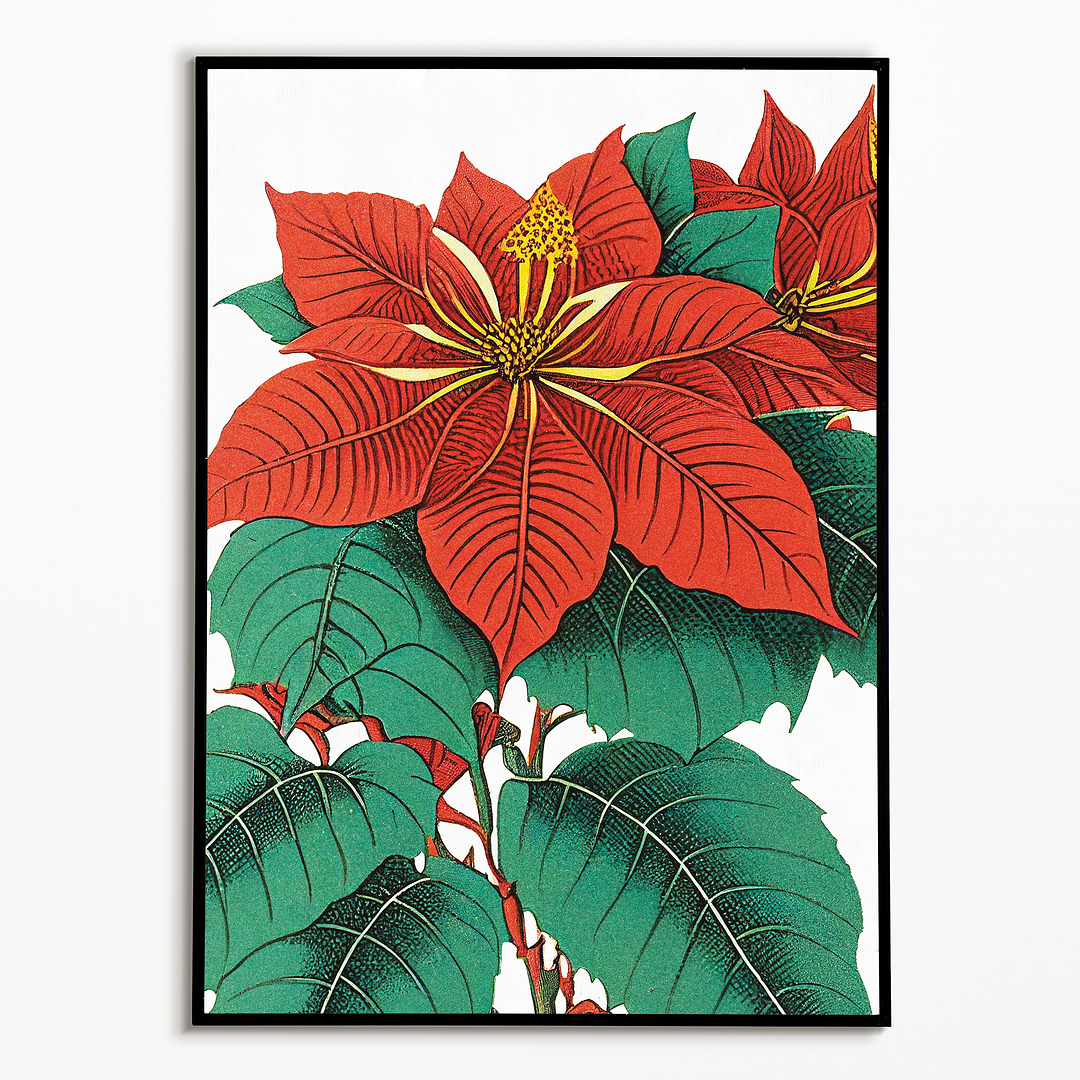 Amaryllis  Art-Print