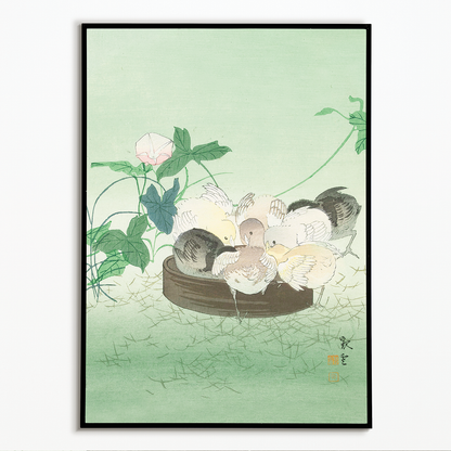 chicks by Jakuun - Art Print