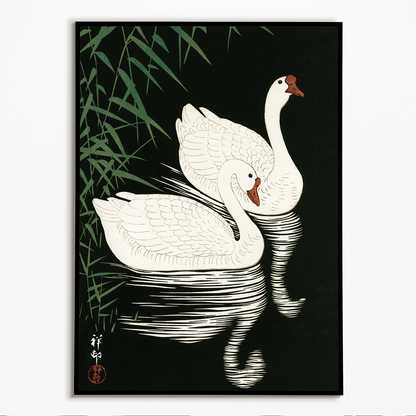 White Chinese Geese Swimming by Reeds By Ohara Koson - Art Print