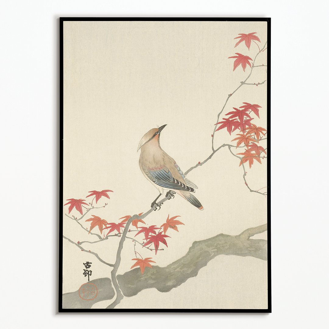 Japanese plague bird on maple By Ohara Koson - Art Print