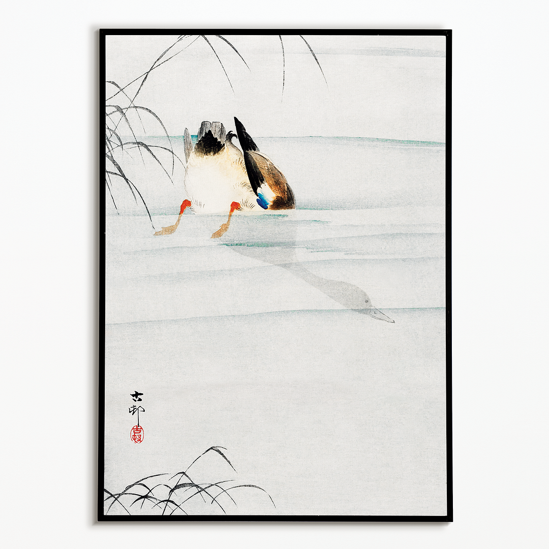 Mallard, the head under water By Ohara Koson - Art Print