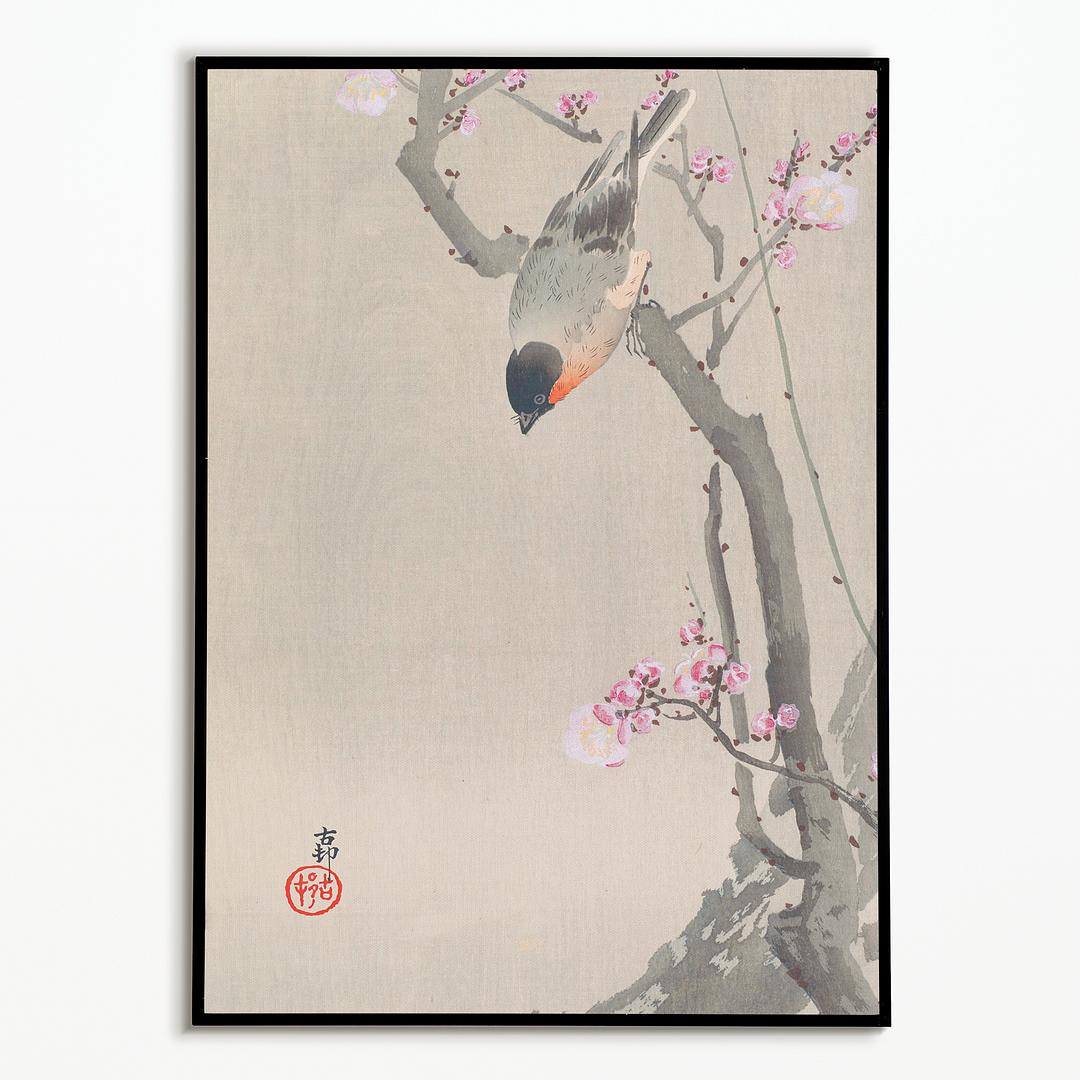 Bullfinch perched on a flowering plum tree By Ohara Koson - Art Print