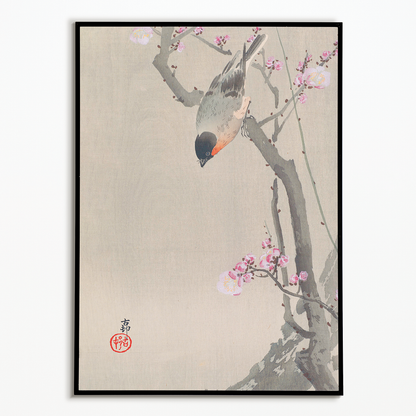 Bullfinch perched on a flowering plum tree By Ohara Koson - Art Print