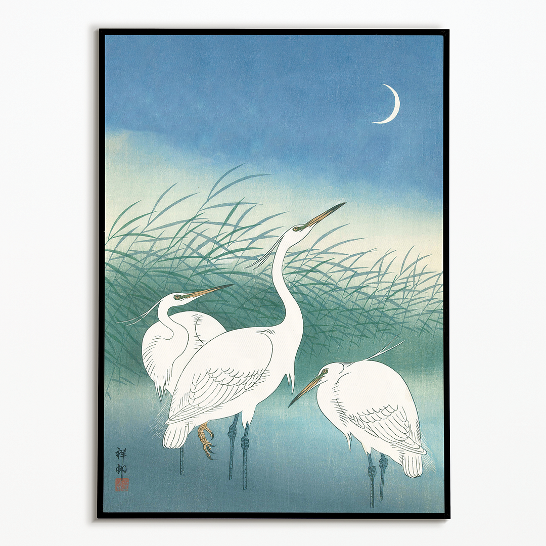 Herons in shallow water By Ohara Koson - Art Print