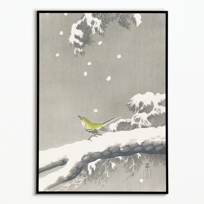 Wagtail on a snowy bough By Ohara Koson - Art Print