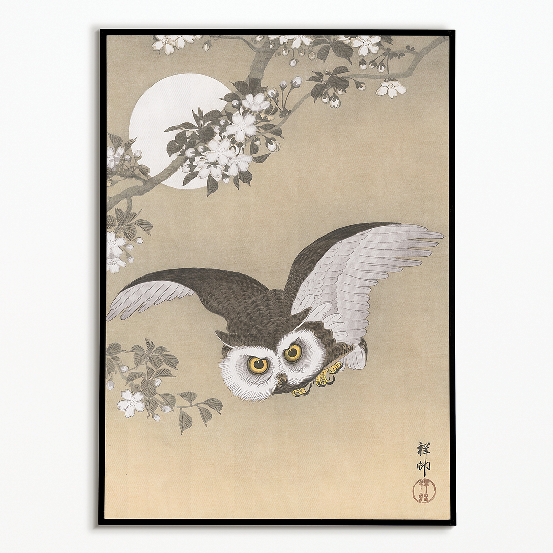 Scops Owl Flying Under Cherry blossoms By Ohara Koson - Art Print