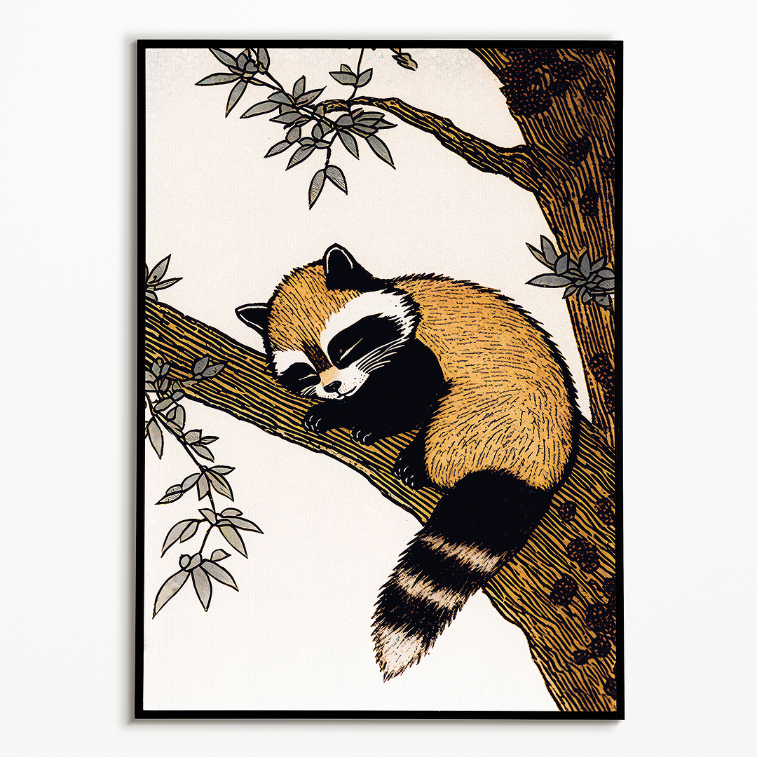 Racoon sleeping in a tree - Art Print