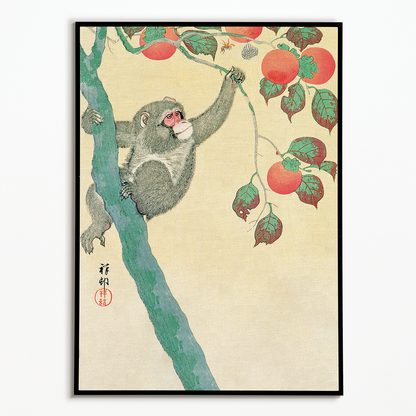 Monkey in a Persimmon Tree By Ohara Koson - Art Print