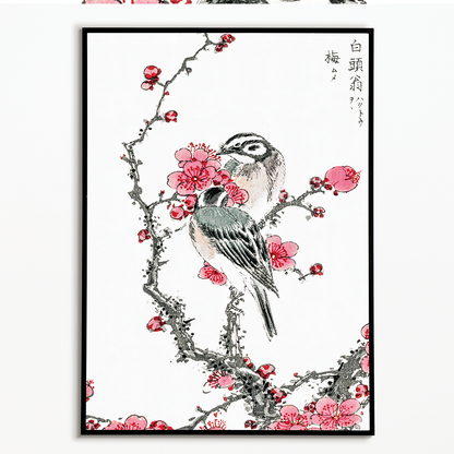 Pine Bunting and Plum Tree By Numata Kashu - Art Print