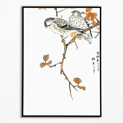 Siskin and Euonymus Alata By Numata Kashu - Art Print